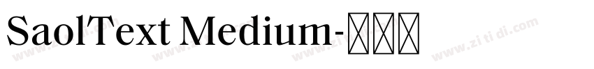 SaolText Medium字体转换